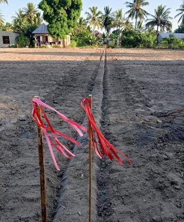 Viwanja vinauzwa Chanika Zingiziwa, Dar Es Salaam sqm 400