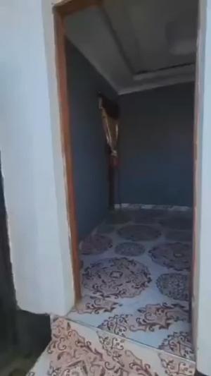 1 Bedroom Apartment for Rent in Shewa Shule Ya Msingi, Singida