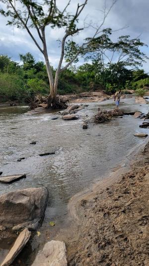 Farm for Sale in Gwata, Morogoro (20 acre) Farm for Sale in Gwata, Morogoro (20 acre)