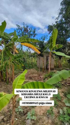 Kiwanja kinauzwa Kibamba Shule, Dar Es Salaam (256 sqm) Kiwanja kinauzwa Kibamba Shule, Dar Es Salaam (256 sqm)
