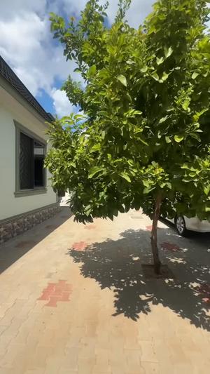 1 Bedroom Apartment for Rent in Kisiwani, Dar Es Salaam