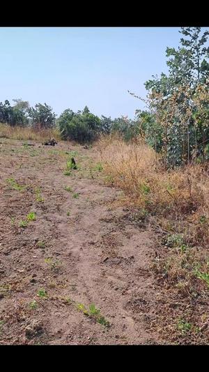 Kiwanja kinauzwa Mbeya (1000 sqm) Kiwanja kinauzwa Mbeya (1000 sqm)