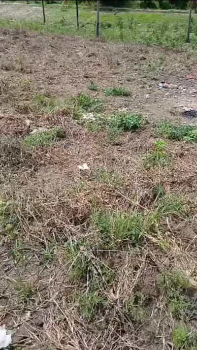 Plot for sale in Mbezi, Dar Es Salaam