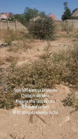 Kiwanja kinauzwa Chidachi, Dodoma (500 sqm)