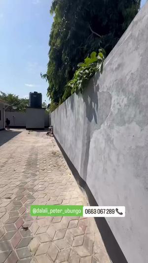 3 Bedrooms House for Rent in Tabata Segerea Chama, Dar Es Salaam 3 Bedrooms House for Rent in Tabata Segerea Chama, Dar Es Salaam
