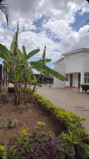 Nyumba ya vyumba vitano inapangishwa Sala Sala Ushuarini, Dar Es Salaam Nyumba ya vyumba vitano inapangishwa Sala Sala Ushuarini, Dar Es Salaam