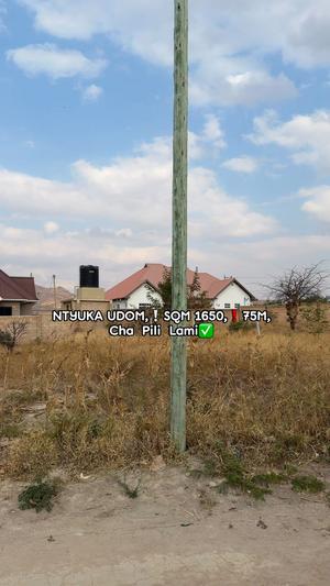 Residential Plot for Sale in Ntyuka UDOM, Dodoma (1650 sqm) Residential Plot for Sale in Ntyuka UDOM, Dodoma (1650 sqm)