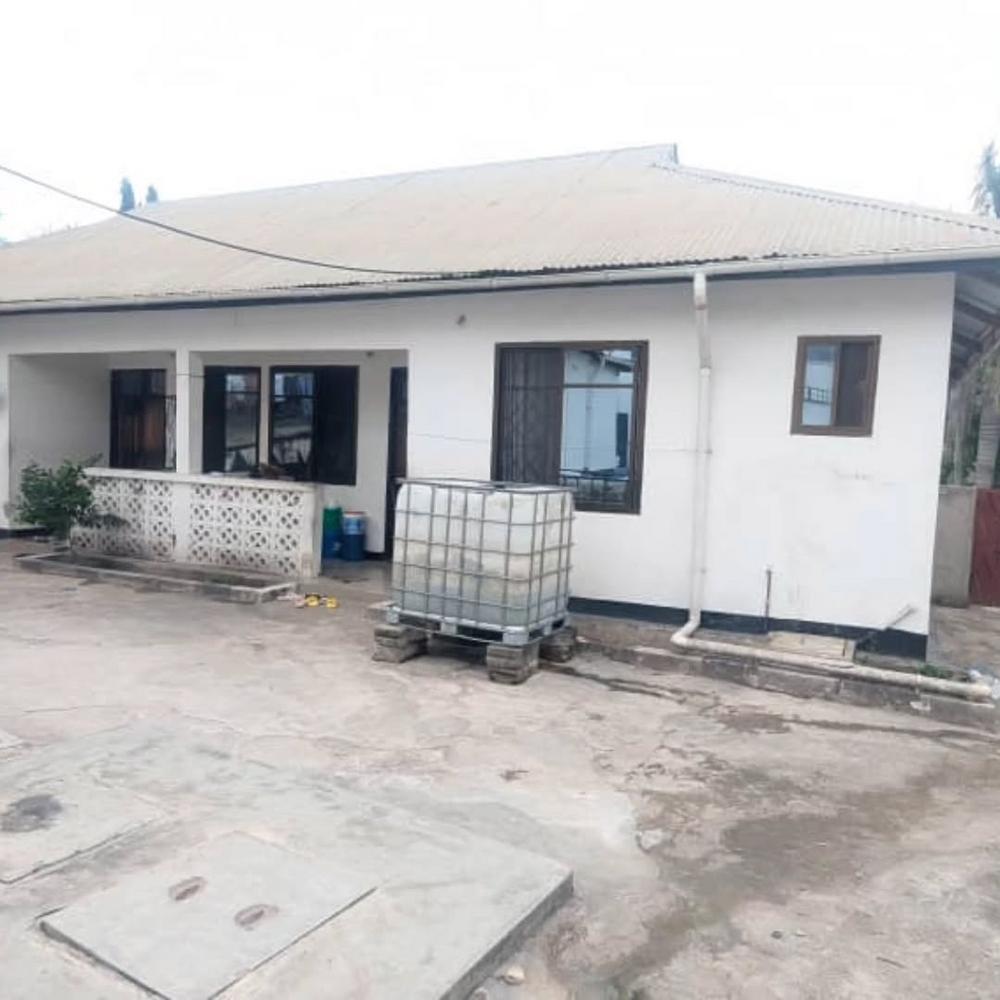 media -3 media -3