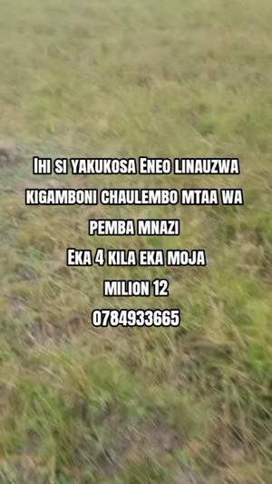 Shamba linauzwa Kigamboni Chaulembo, Dar Es Salaam (4 acre) Shamba linauzwa Kigamboni Chaulembo, Dar Es Salaam (4 acre)