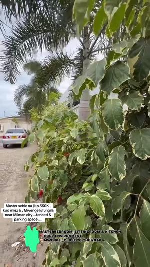 Nyumba ya chumba kimoja inapangishwa Mwenge Lufungila, Dar Es Salaam