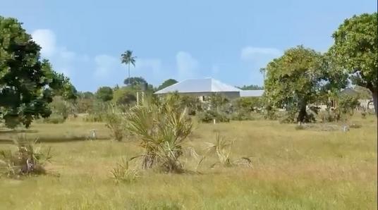 Viwanja vinauzwa Buyuni, Dar Es Salaam