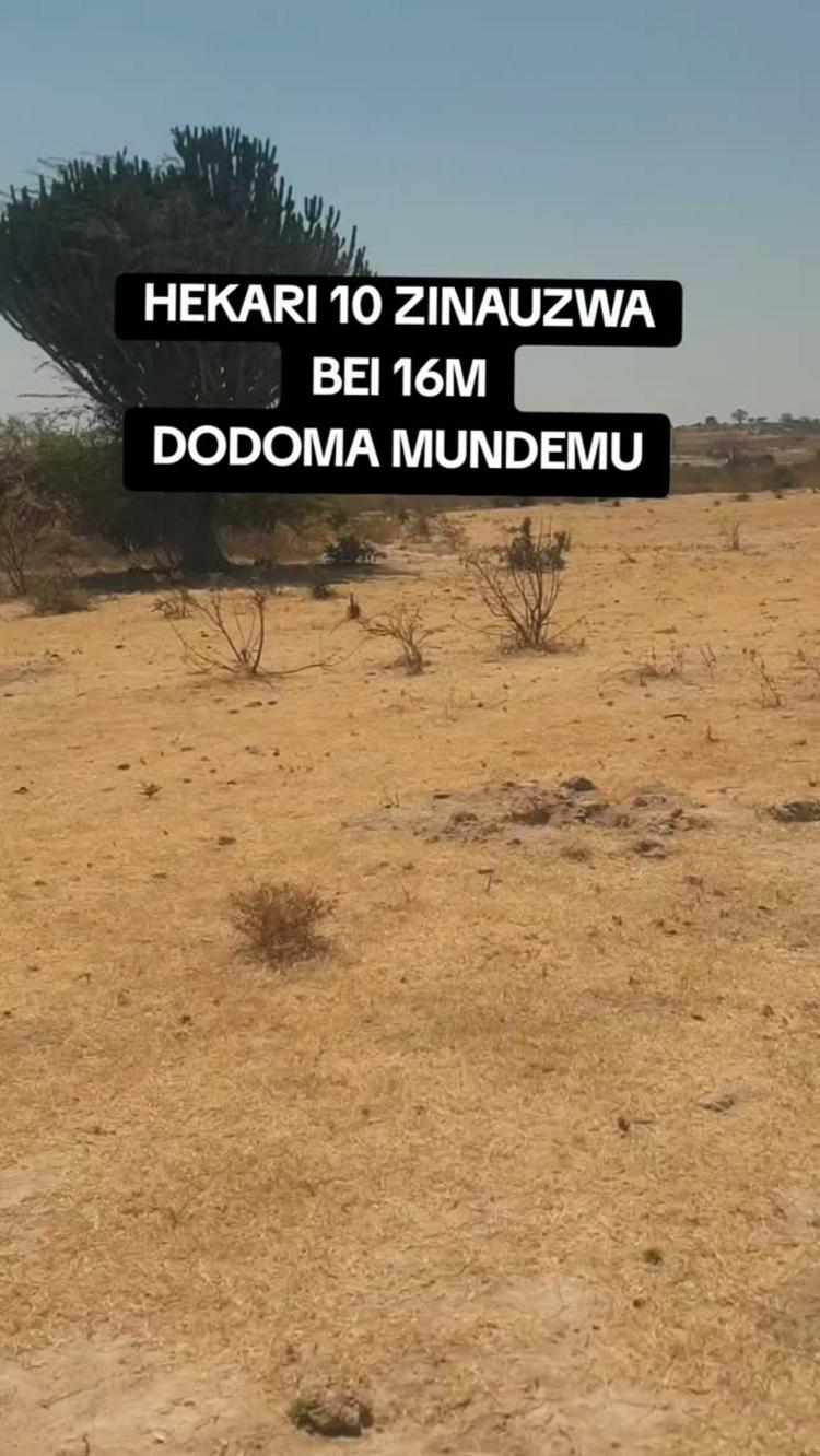 media -1 media -1