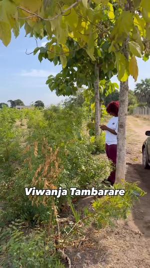 Plots for sale in Kerege Beach, Pwani Plots for sale in Kerege Beach, Pwani