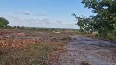 Kiwanja kinauzwa VIANZI VIKINDU, MALELA, Pwani Kiwanja kinauzwa VIANZI VIKINDU, MALELA, Pwani