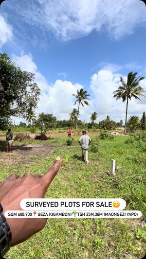 Plots for sale in Gezaulole, Kigamboni, Dar Es Salaam sqm 600 Plots for sale in Gezaulole, Kigamboni, Dar Es Salaam sqm 600