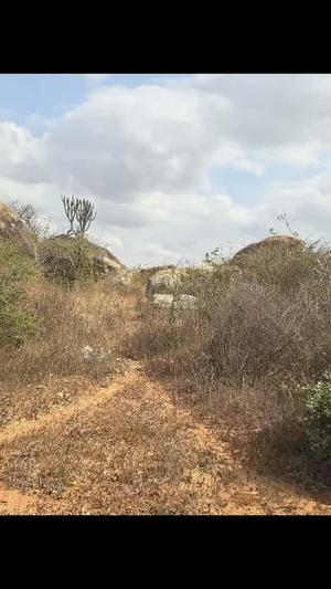 Shamba linauzwa Nala Chigongwe, Dodoma (3 acre) Shamba linauzwa Nala Chigongwe, Dodoma (3 acre)
