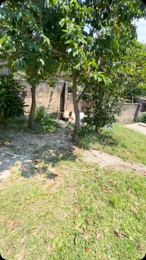 3 Bedrooms House for Rent in Goba, Dar Es Salaam 3 Bedrooms House for Rent in Goba, Dar Es Salaam