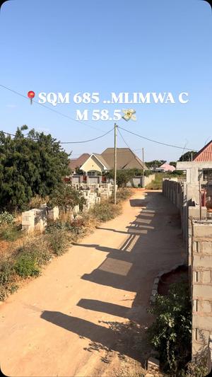 Kiwanja kinauzwa Mlimwa C, Dodoma sqm 685 Kiwanja kinauzwa Mlimwa C, Dodoma sqm 685