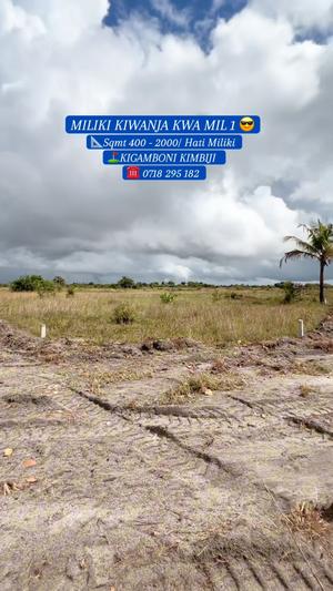 Viwanja vinauzwa Kigamboni Kimbiji Kijaka, Dar Es Salaam Viwanja vinauzwa Kigamboni Kimbiji Kijaka, Dar Es Salaam