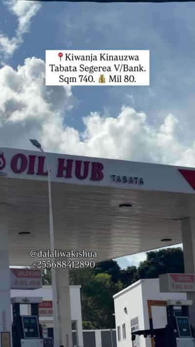 Kiwanja kinauzwa Tabata Segerea, Dar Es Salaam (740 sqm) Kiwanja kinauzwa Tabata Segerea, Dar Es Salaam (740 sqm)