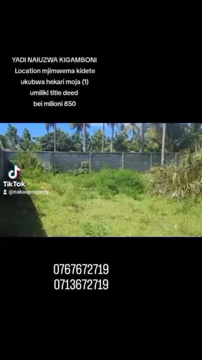 Kiwanja kinauzwa mjimwema kibugumo, Dar Es Salaam (1 acre) Kiwanja kinauzwa mjimwema kibugumo, Dar Es Salaam (1 acre)