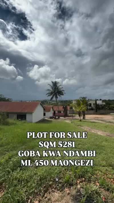 Kiwanja kinauzwa Goba Kwa Ndambi, Dar Es Salaam (5281 sqm)