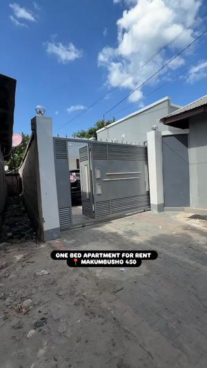 Nyumba ya chumba kimoja inapangishwa Makumbusho, Dar Es Salaam