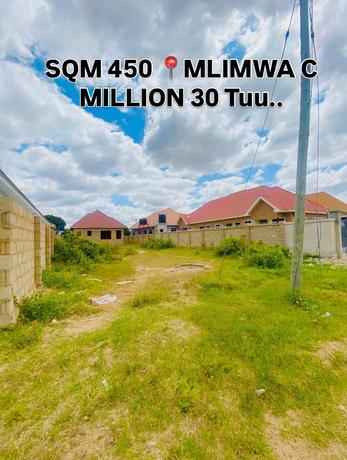 Residential Plot for Sale in Mlimwa C, Dodoma (450 sqm)