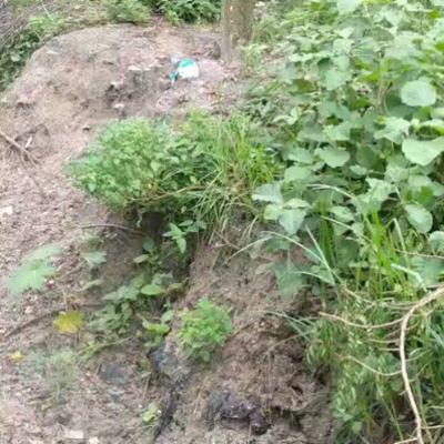 Kiwanja kinauzwa Mbezi Malamba, Dar Es Salaam sqm 875