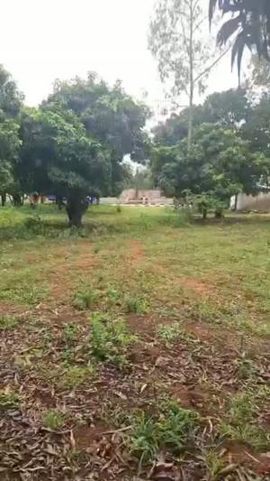 Plot for sale in Kiseke Ppf, Mwanza Plot for sale in Kiseke Ppf, Mwanza