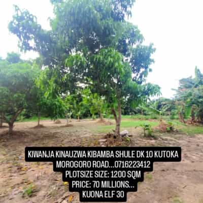 House for Rent in Kibamba, Dar Es Salaam