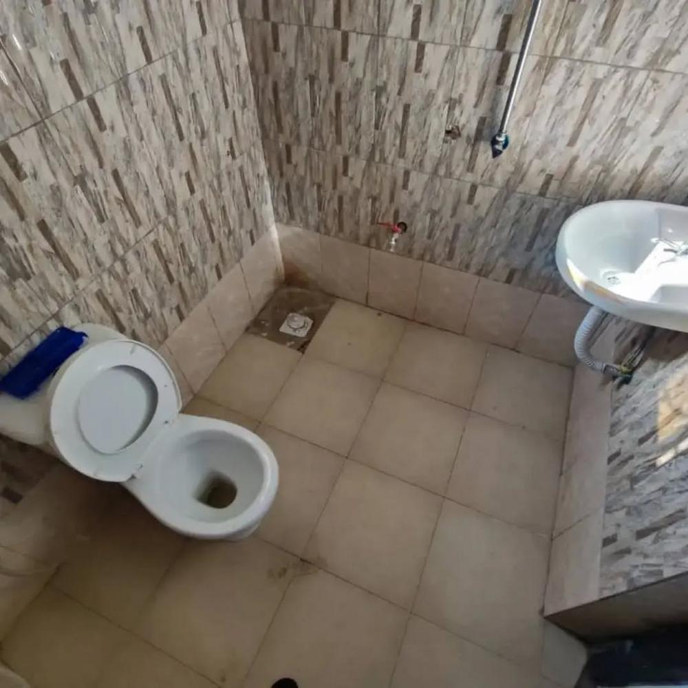 media -5