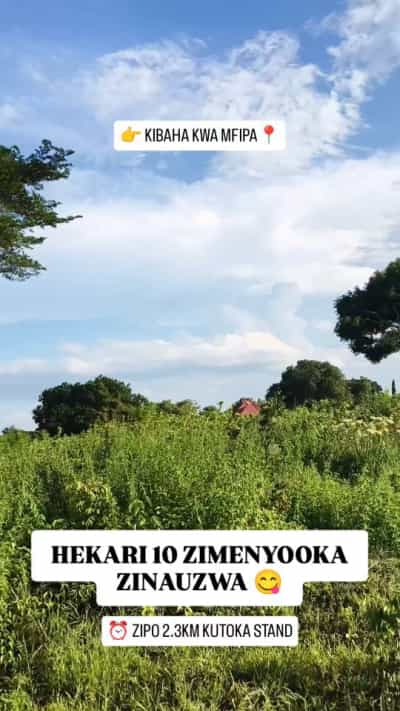 Shamba linauzwa Kibaha Mfipa, Pwani (10 acre) Shamba linauzwa Kibaha Mfipa, Pwani (10 acre)