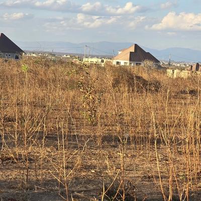 Residential Plot for Sale in Iyumbu North, Dodoma (620 sqm) Residential Plot for Sale in Iyumbu North, Dodoma (620 sqm)