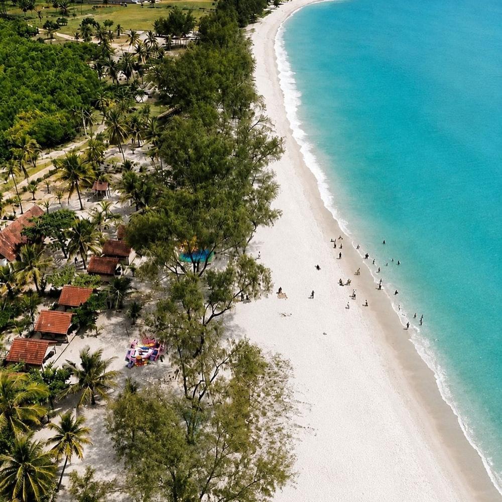 media -4