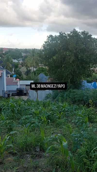 Kiwanja kinauzwa Mikocheni, Dar Es Salaam Kiwanja kinauzwa Mikocheni, Dar Es Salaam