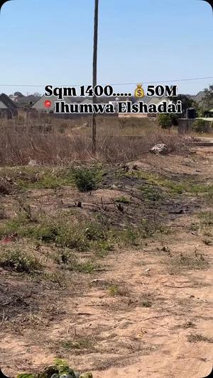 Residential Plot for Sale in Ihumwa Elshadai, Dodoma (1400 sqm)