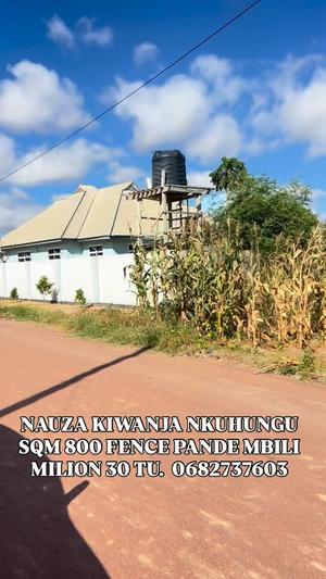 Kiwanja kinauzwa Dodoma sqm 800