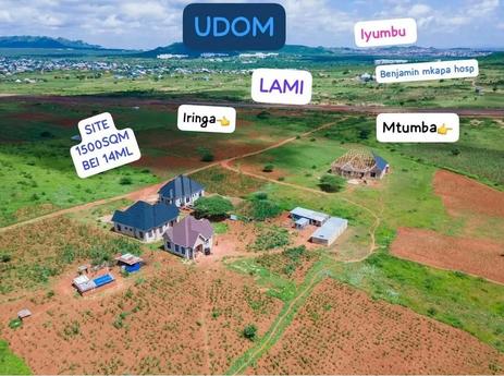 Plot for sale in Dodoma sqm 15000 Plot for sale in Dodoma sqm 15000