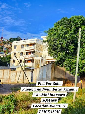 Kiwanja kinauzwa Isamilo, Mwanza (800 sqm)