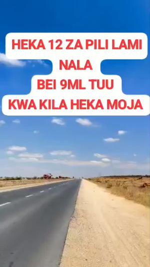 Farm for Sale in Nala, Dodoma (12 acre) Farm for Sale in Nala, Dodoma (12 acre)
