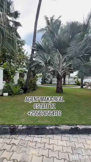 2 Bedrooms Apartment for Rent in Mikocheni, Dar Es Salaam 2 Bedrooms Apartment for Rent in Mikocheni, Dar Es Salaam