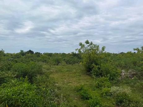 Plot for sale in Matemwe, Zanzibar sqm 940
