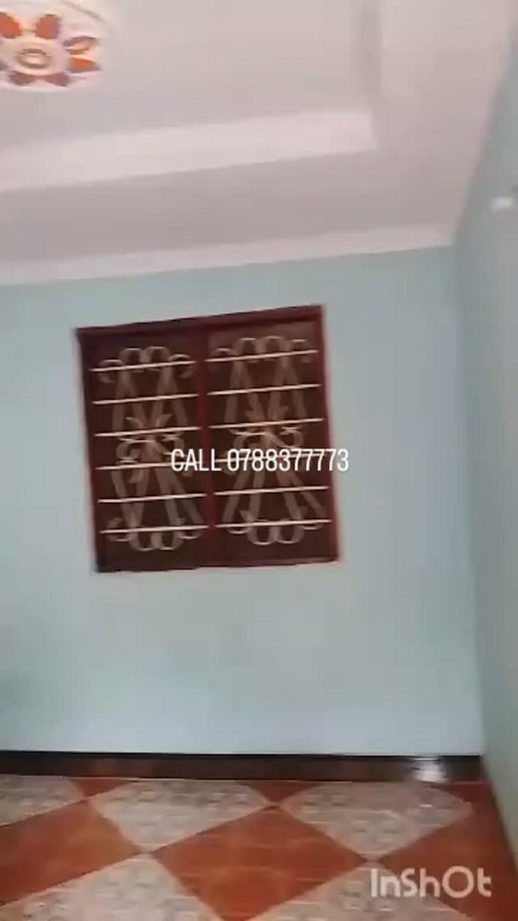media -1 media -1