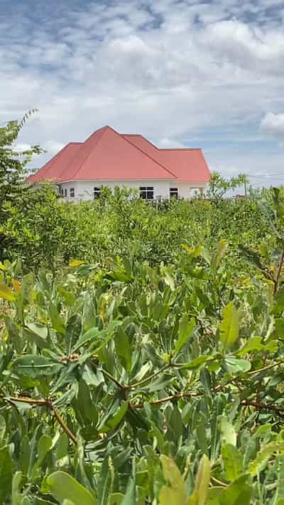 Kiwanja kinauzwa Miganga, Dodoma (531 sqm) Kiwanja kinauzwa Miganga, Dodoma (531 sqm)