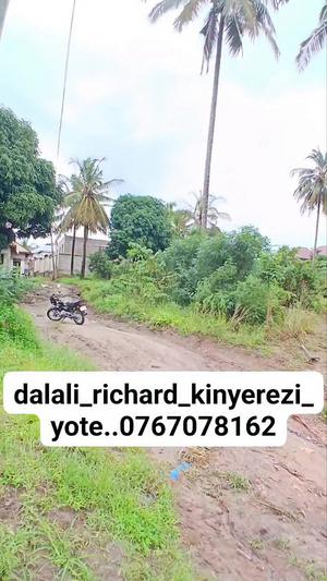 Kiwanja kinauzwa Kinyerezi Mwisho, Dar Es Salaam (500 sqm)