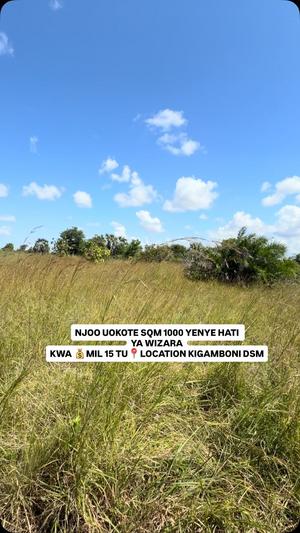 Plot for sale in Goboroni, Kigamboni, Dar Es Salaam sqm 1000 Plot for sale in Goboroni, Kigamboni, Dar Es Salaam sqm 1000