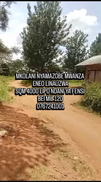 Kiwanja kinauzwa Mkolani, Mwanza sqm 4000