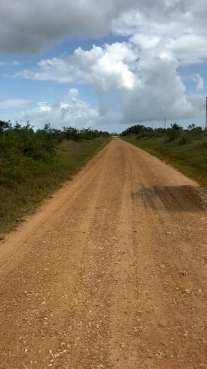 Farm for sale in Kimbiji, Dar Es Salaam acre 10 Farm for sale in Kimbiji, Dar Es Salaam acre 10