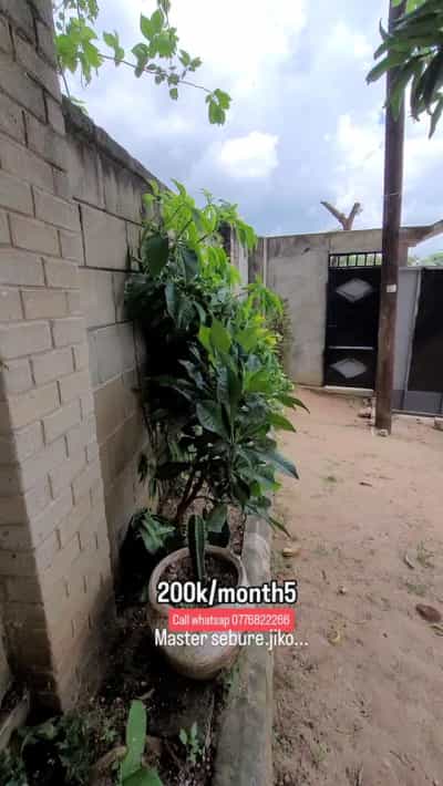 Nyumba ya chumba kimoja inapangishwa Goba Kizu, Dar Es Salaam Nyumba ya chumba kimoja inapangishwa Goba Kizu, Dar Es Salaam